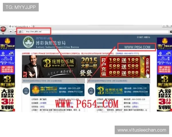 优质ag视讯贵宾厅网址推荐,保障玩家账号安全与游戏体验 优质ag视讯贵宾厅网址推荐,保障玩家账号安全与游戏体验