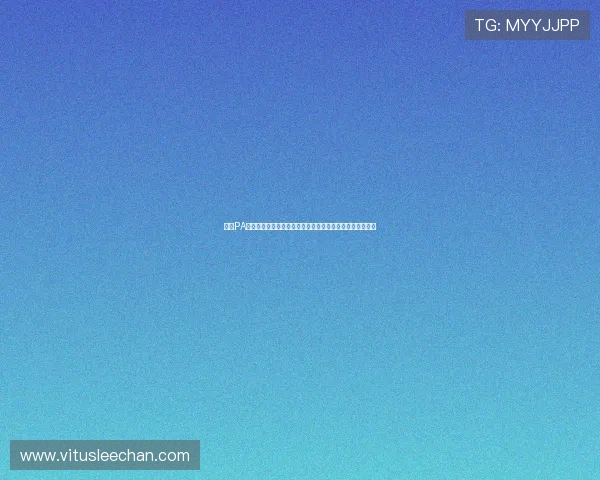 通过PA平台官网掌握官方公告、版本更新信息及未来游戏发展规划